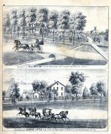 William H. Ray Residence, George Little, Rushville, Schuyler County 1872